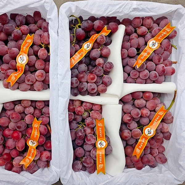 Ang Pagkonsumo sa Lab-as nga Lamesa nga Grape Naglihok Ngadto sa Gigikanan-Direktang Suplay