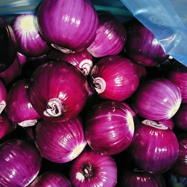 Ang Pagproseso sa Pagkaon sa Huaang Nakaangkon sa Market Share nga adunay Lig-on nga Kalidad