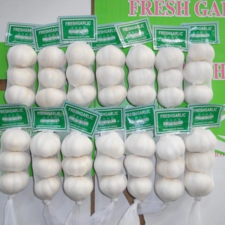 Ngano nga ang Premium Fresh Garlic ang Gipili nga Pagpili alang sa Mga Mamalitay nga Mahunahunaon sa Kalidad?