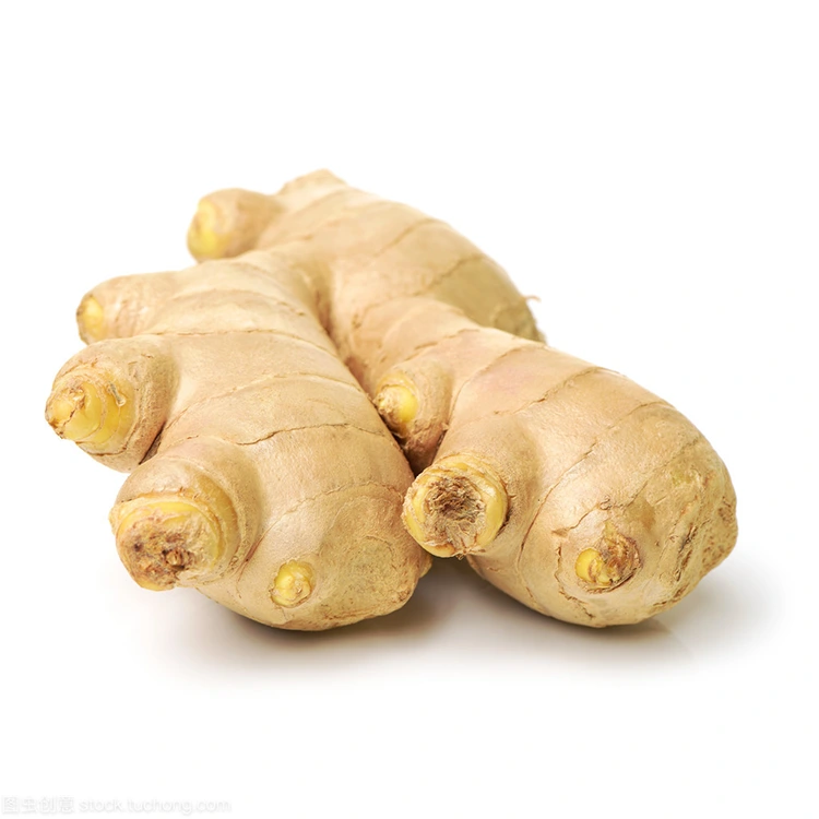 Ngano nga ang Premium Fresh Ginger ang Gipili nga Pagpili alang sa Mga Mamalitay nga Mahunahunaon sa Kalidad?