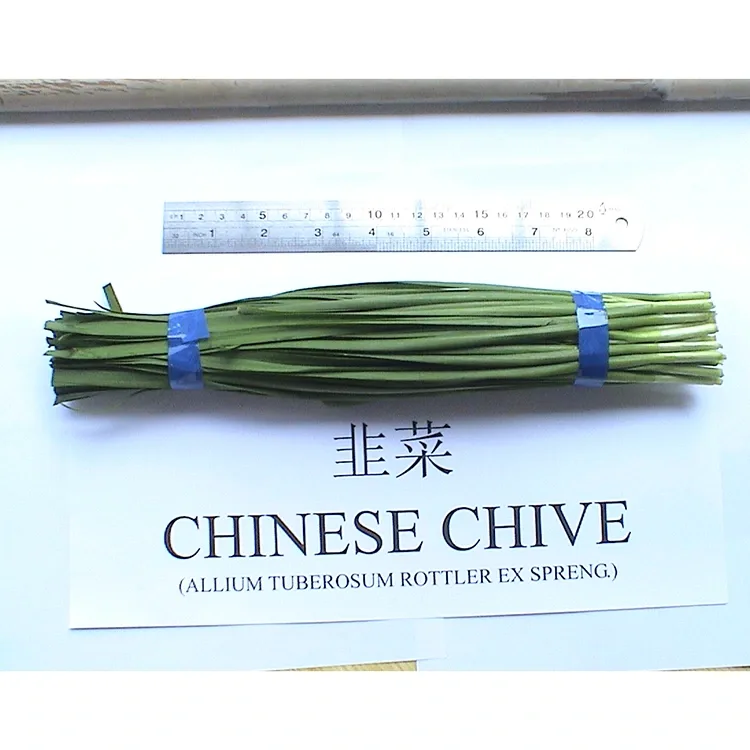 Ngano nga ang Farm Fresh Chinese Chives kaylap nga gigamit sa Asian Cuisine?