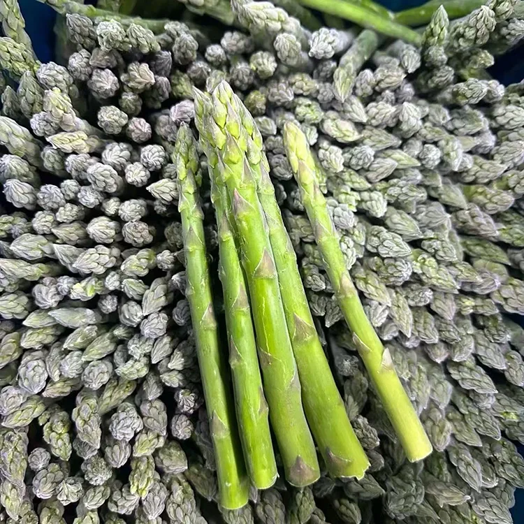 Pinili nga Frozen Green Asparagus para sa Consistent Foodservice ug Ingredient Supply