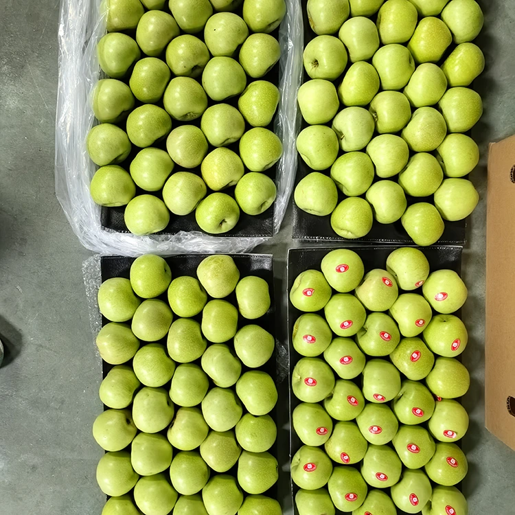 Crisp ug Sweet Green Apples