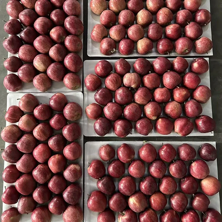 Mahayag nga Pula nga Star Apples