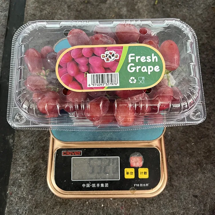 I-export ang Grado nga Lab-as nga Crimson nga Wala’y Binhi nga Ubas