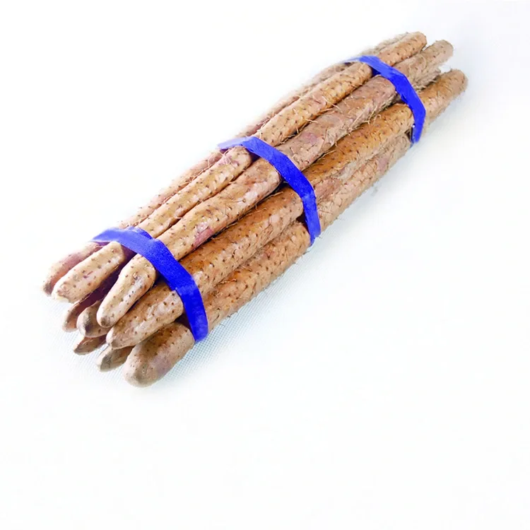 Lab-as nga Chinese Yam