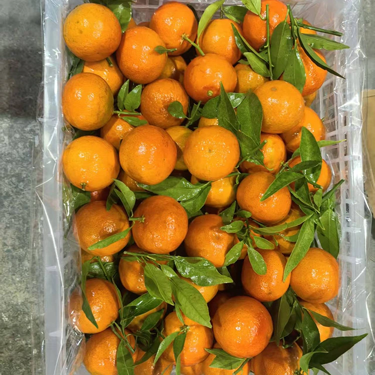 Lab-as nga Mashui Mandarin