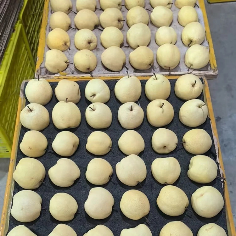 Bag-ong Pinili nga Gong Pear