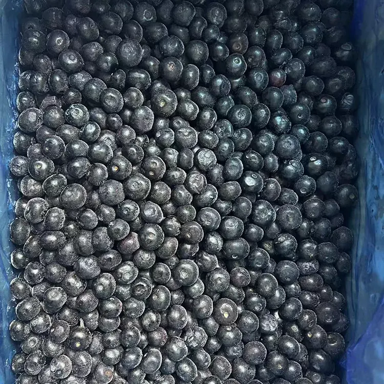 Frozen Blueberry Premium IQF Blueberries