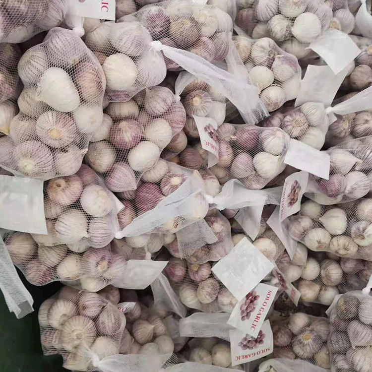 Taas nga kalidad nga Single Clove Garlic