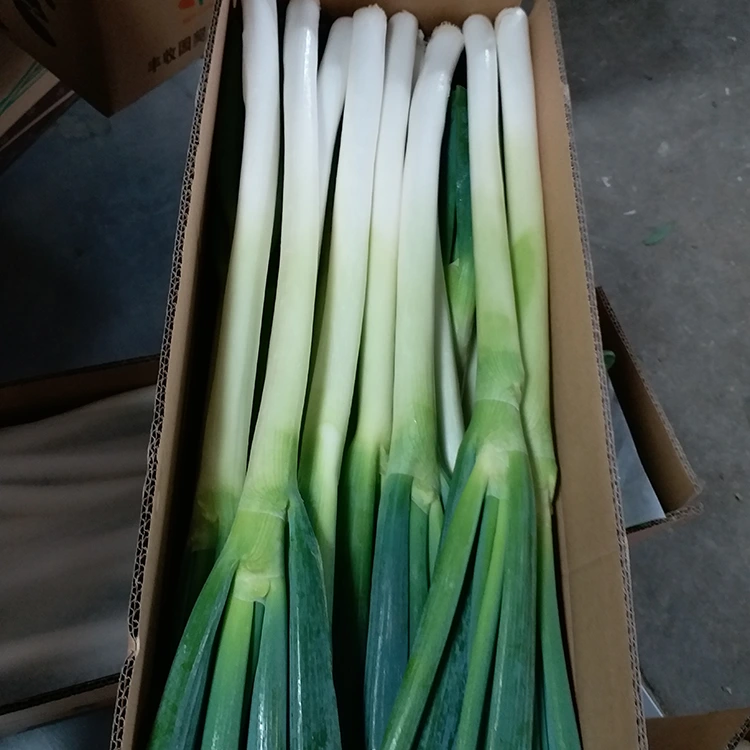 Natural nga Gitubo nga Green Onions