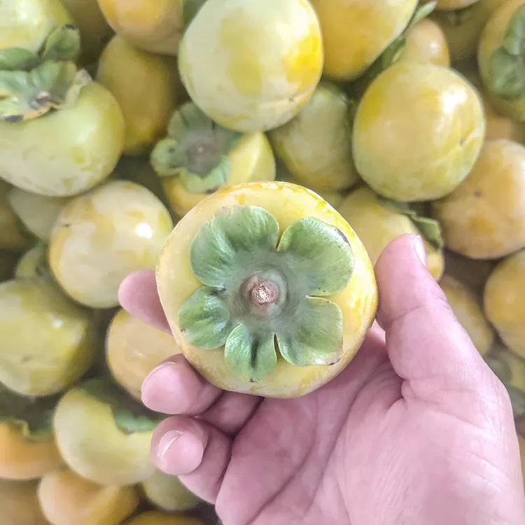 Premium nga Lab-as nga Crisp Persimmon