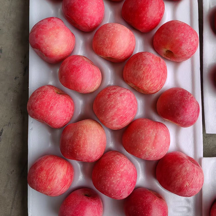 Premium nga lab-as nga Fuji Apples