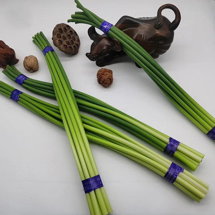 Premium nga Lab-as nga Garlic Scapes