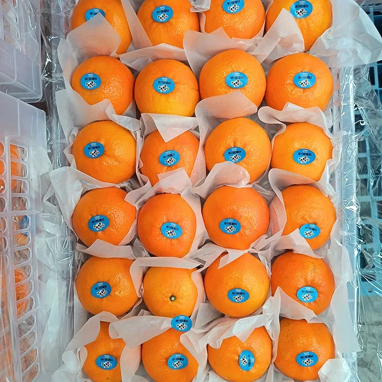 Premium Lab-as nga Matam-is nga Wogan Mandarins