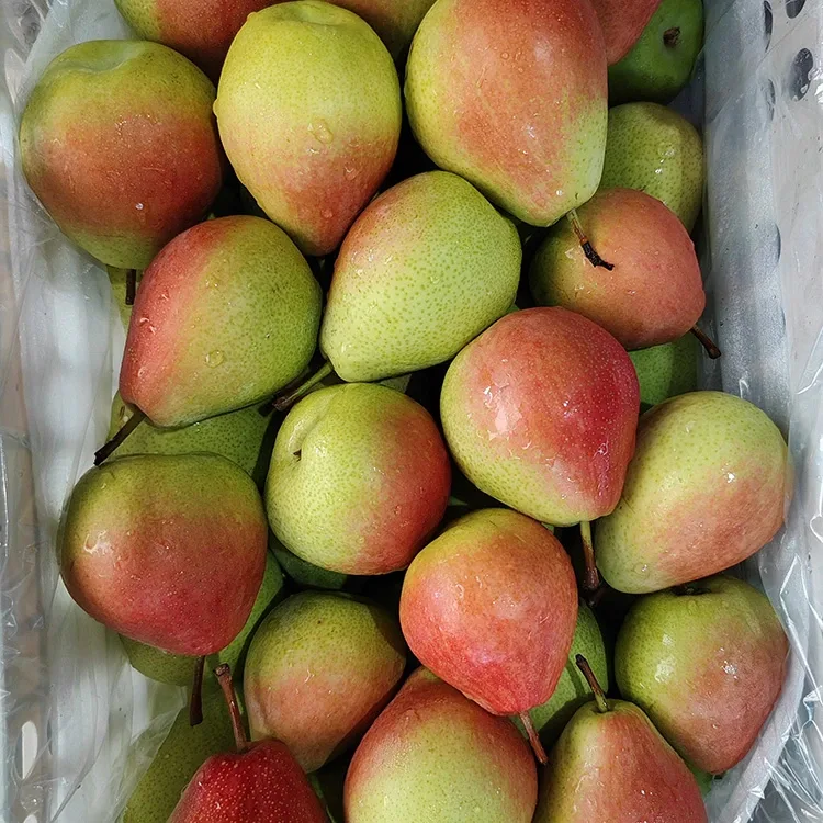 Premium Gipili sa Kamot nga Mata-Catching Glossy-Red July Red Pear