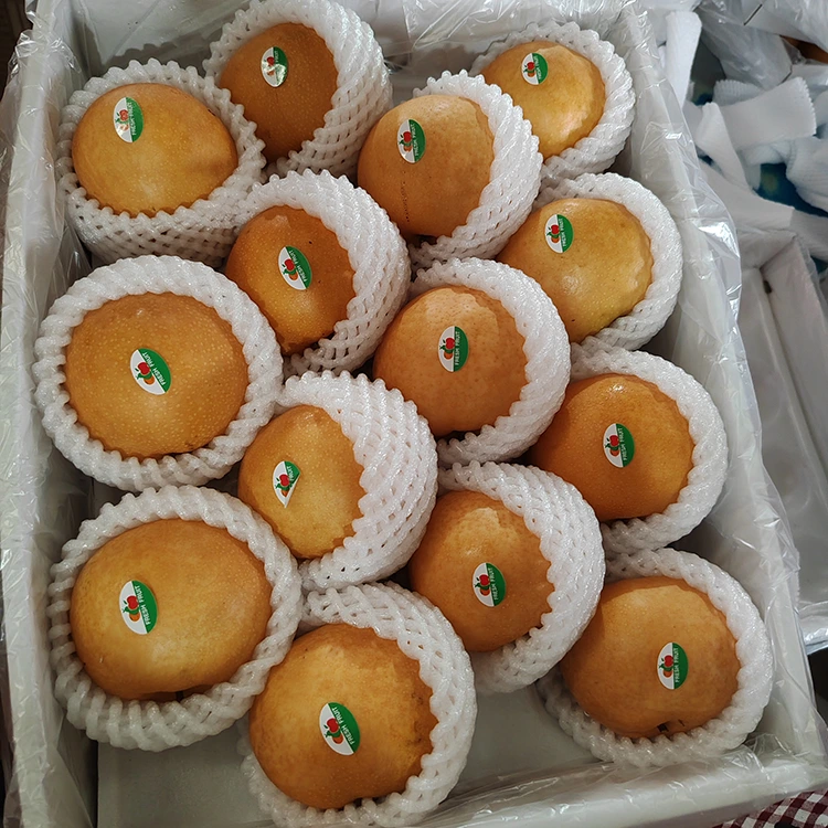 Premium nga Shingo Pears