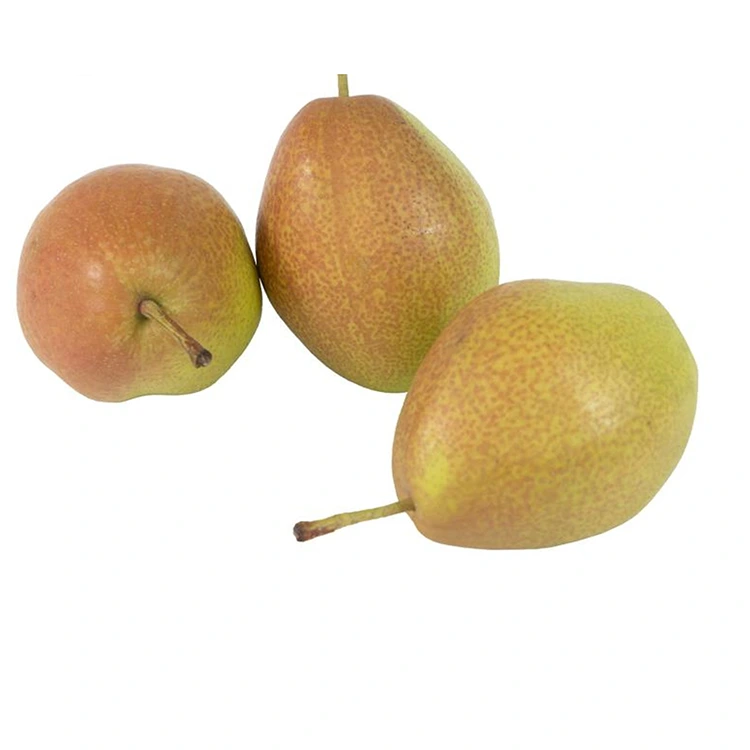 Superior nga Kalidad nga Lab-as nga Hongxiangsu Pears